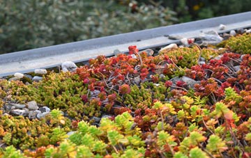 the cost of Bayhead green roof installation