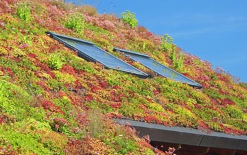 Bayhead living roof systems
