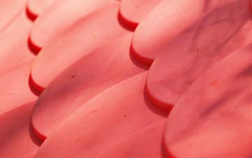 Bayhead plastic roof costs