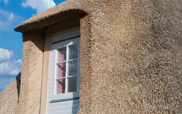Bayhead thatch roof disadvantages