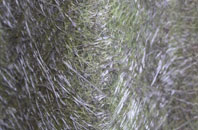 Bayhead fibreglass roof work